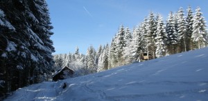 News Schneewochenende 2015