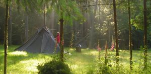 Pfadfinder schlagen auf Fahrt ihr Lager auf