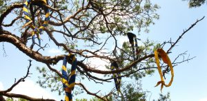 Pfadfinder-Halstücher hängen im Baum